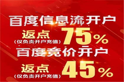 SEM推广优化实战：案例分析与启示