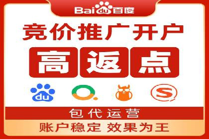 SEM精准广告投放的五大成功案例